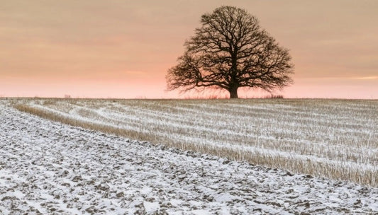 Photo: Kai Jensen, NTB Scanpix