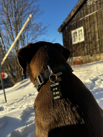 Navneskilt hund
